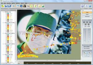Mangold Vision 固定式眼動儀
