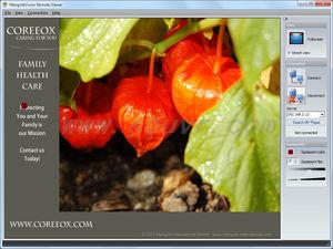 實時遠程查看器附加程序